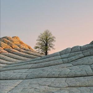 Meet your Posher, Tristan